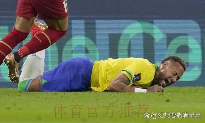 最新世界杯德国内马尔阵容解析权威解读